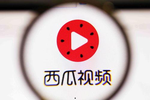 娱乐吃瓜视频背景图片高清,捕捉娱乐圈瞬间风采
