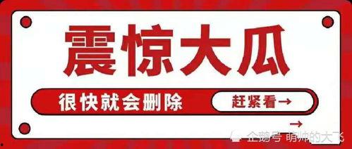 娱乐圈八卦吃瓜总汇,揭秘最新八卦大揭秘
