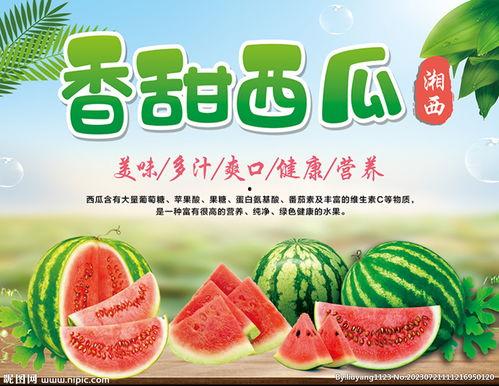 吃瓜娱乐封面设计图片大全,创意素材与模板精选
