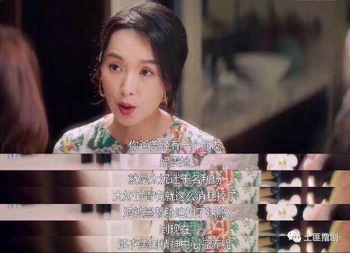 一线吃瓜娱乐圈讲了什么,从路人甲到瓜界传奇