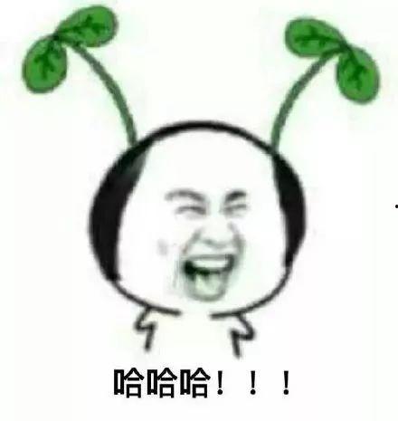 娱乐吃瓜酱艾特你的对象,周扬青沉默以对，王思聪吐槽“四十岁还自称男孩”
