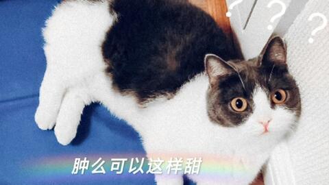 娱乐圈吃瓜四人cp,揭秘神秘CP背后的故事