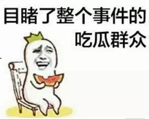 聊娱乐的吃瓜群众评价怎么写,盘点明星幕后故事与真实评价