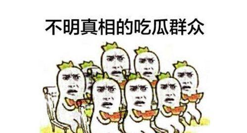 聊娱乐的吃瓜群众评价怎么写,盘点明星幕后故事与真实评价