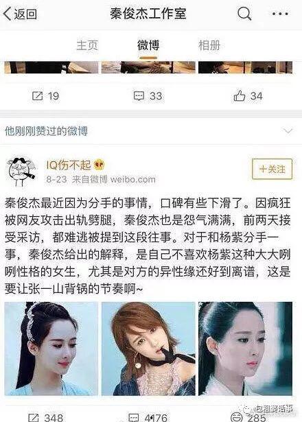 全娱乐圈跟我吃瓜的小说,瓜田里的明星盛宴