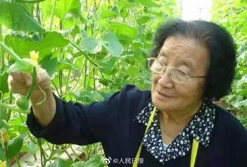 制作人吃瓜现场娱乐八卦,娱乐圈八卦大揭秘！