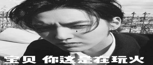 吃瓜娱乐圈的文案搞笑版,笑料百出，揭秘明星们的“笑果”人生