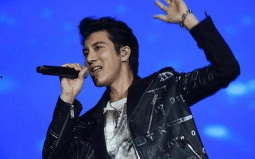 娱乐圈吃瓜男歌手名单,揭秘那些被隐藏的八卦故事