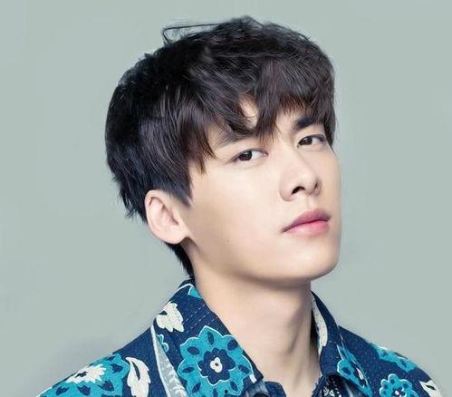 娱乐圈吃瓜李易峰是谁呀